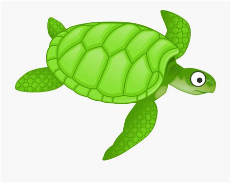 Swimming Turtle Clipart 10 Free Cliparts Download Images On