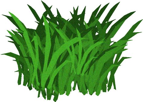 Seaweed Clipart The Cliparts Databases
