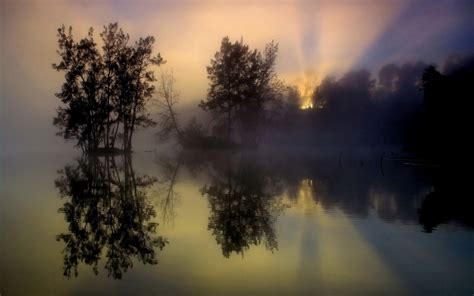 Morning Sunrise Fog Trees Lake Water Reflection Wallpaper Nature