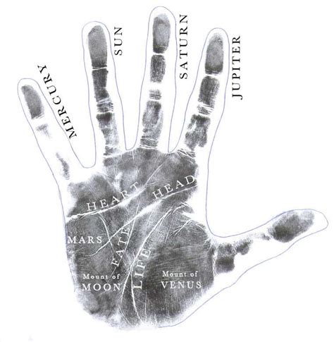 Vedic Palmistry Your Destiny Is In Your Hands Vedic Traditions