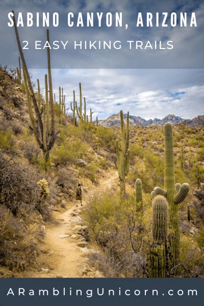 Sabino Canyon Trails Five Stunning Hikes Near Tucson In 2023 Arizona