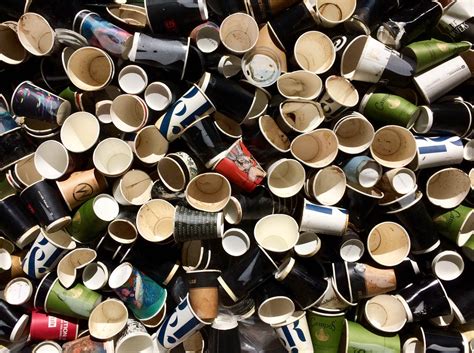Recycling Coffee Cups Planet Ark Recycling Near You