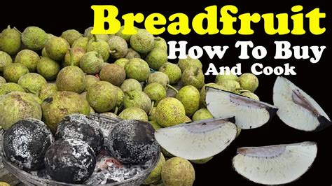 How To Roast Breadfruit On An Open Fire Breadfruit How To Eat Is