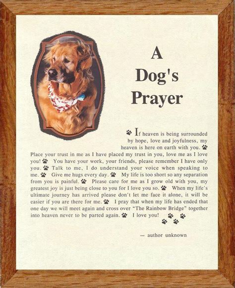 Prayer For Pets Who Have Died Prayer Vigil Honors Those Who Have Died