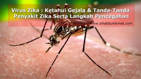 Salah satu langkah paling aman untuk mengatasi gigitan nyamuk pada bayi adalah dengan mencegah nyamuk agar tidak mendekati bayi. Virus Zika : Ketahui Gejala & Tanda-Tanda Penyakit Zika ...