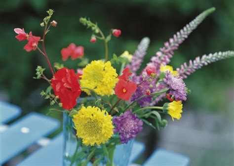 Below, we'll take a look at the contents of the elusive flower food packet, as well as how you can diy your own plant food for cut flowers. Homemade Flower Food for Fresh-Cut Flowers | Hunker