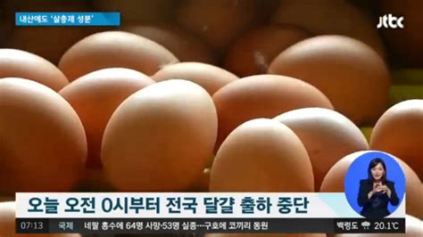 살충제 계란 파동 크게 해롭지 않다고 소비자 불신 포기할 수 없어 네이트 뉴스
