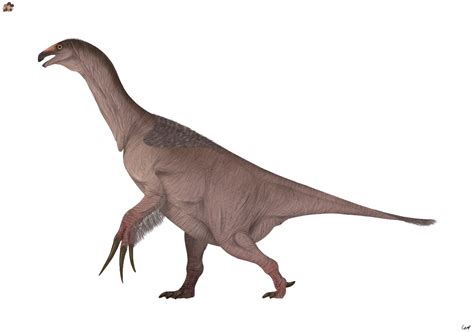 Therizinosaurus Cheloniformis 20 By Sphenaphinae On Deviantart