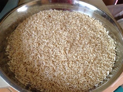 Bagaimana cara menghilangkan dan mengusir kutu beras? Cara Menghilangkan Kutu Beras Pada Rice Box ...