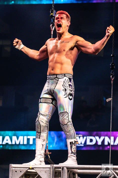 Cody Rhodes Cody Rhodes Wrestling Superstars Chris Hemsworth Shirtless