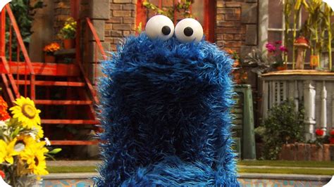 Sesame Street Cookie Monster Food