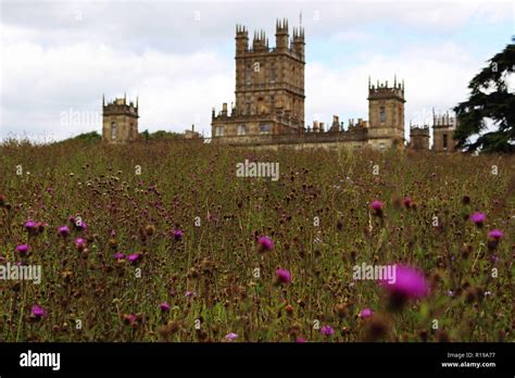 Looking Up The Wildflower Meadow To See Highclere Castle Peaking Over