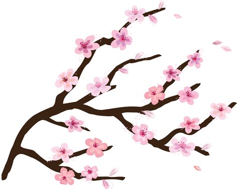 Cherry Blossom Tree Branch Drawing Free Download On Clipartmag