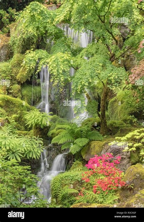 Portland Japanese Garden Oregon Stock Photo Alamy