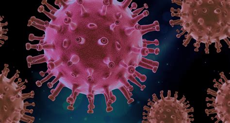 Juni 2021, das fortbestehen der epidemischen lage von. Covid-19: governo de São Paulo confirma circulação da ...