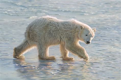 Eric Wilson Fine Art Polar Bear Painting Polar Bear Paintings In