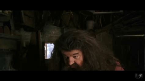 Harry Potter And The Chamber Of Secrets Hagrid Comforts Hermione When