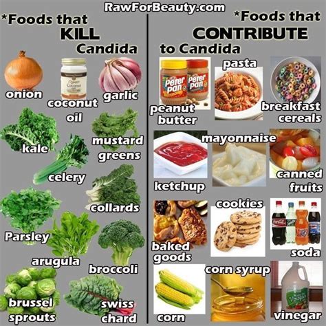 Foods That Get Rid Of Candida Yeast And Foods That Make It Thrive