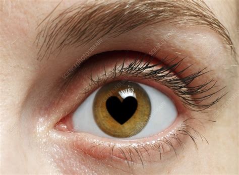 Eye With Heart Stock Image F0097368 Science Photo Library