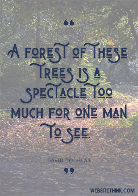 67 Appreciative Quotes About The Forest 🥇 Images