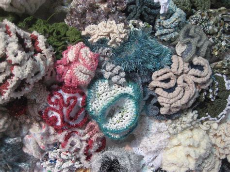 The Crochet Coral Reef Project 25 Pics Twistedsifter