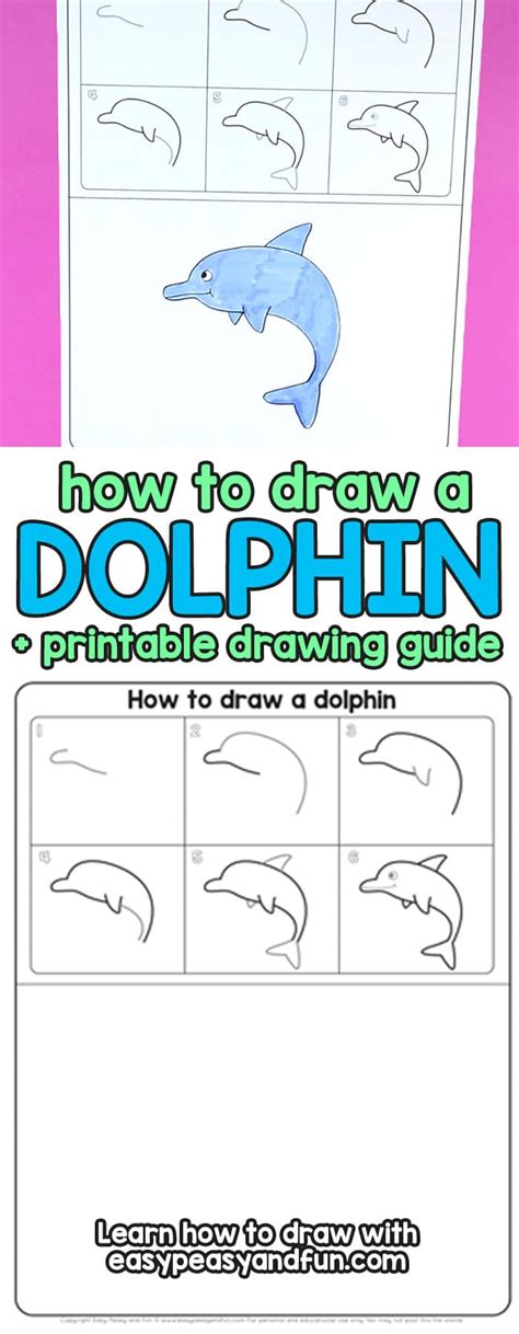 How To Draw A Dolphin Step By Step For Kids Phần Mềm Portable