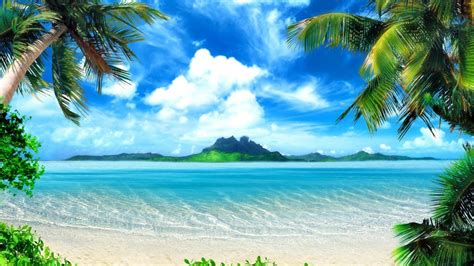 Tropical Ocean Island Palm Trees Hd Wallpaper Iphone 7 Iphone 8 Hd