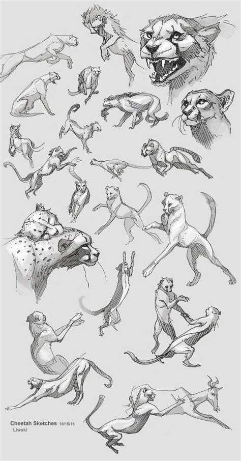 Pin By Keith G On Drawing Reference Sketch Animals Sheet Animal