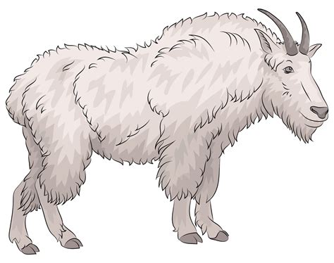 Mountain Goat Clipart Free Download Transparent Png