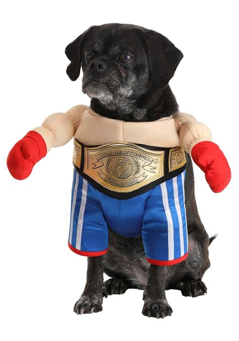 Boxer Dog Costume Halloween Dog Costumes