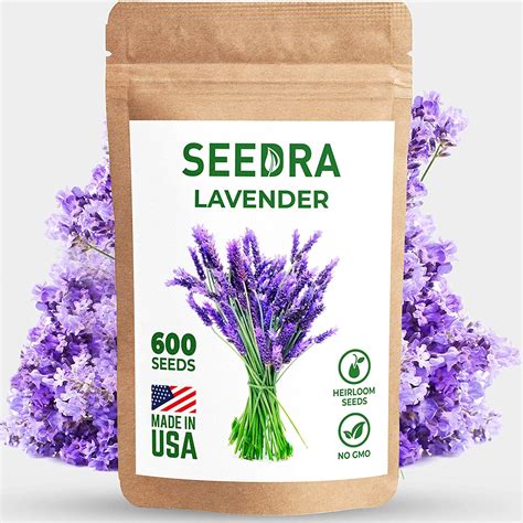 Seedraus 600 English Lavender Seeds For Indoor And Outdoor Planting