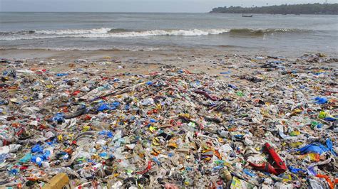 Plastikmüll Im Meer Wwf Fordert Globales Abkommen Ndrde Kultur