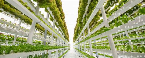 Abstract vertical farming has caught much attention within the past decade. Vertical farming : Is this the answer to the world's food ...