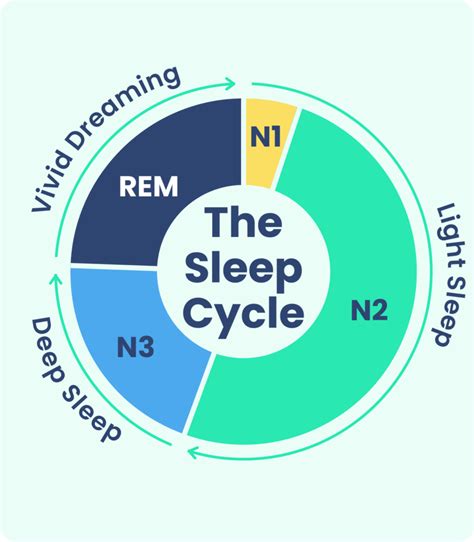 Stages Of Sleep What Happens In A Sleep Cycle