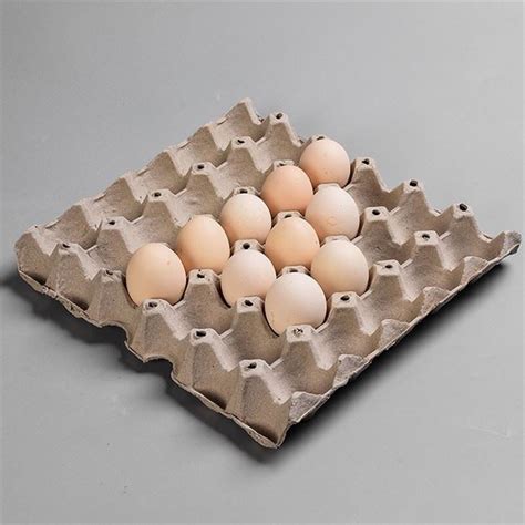 Customized Paper Pulp Egg Cartons Manufacturers Suppliers Factory
