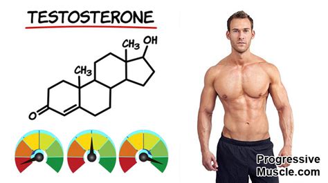 What Are Normal Testosterone Levels For A Man Full Chart And Guide 2022
