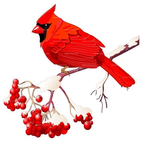 Free Clipart Of Cardinal Bird Clipart Best
