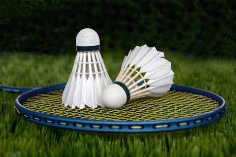Jul 01, 2021 · among the 14 chinese badminton players qualified for the games, chen long and shi yuqi will feature in the men's singles, and world no. How to Play and General Questions - Badminton/Shuttlecock Game? - Best Sports Tutor