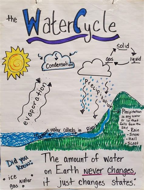 Water Cycle Anchor Chart Etsy Artofit