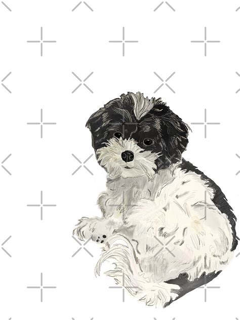 Black And White Maltipoo Art Print For Sale By Dailek Redbubble