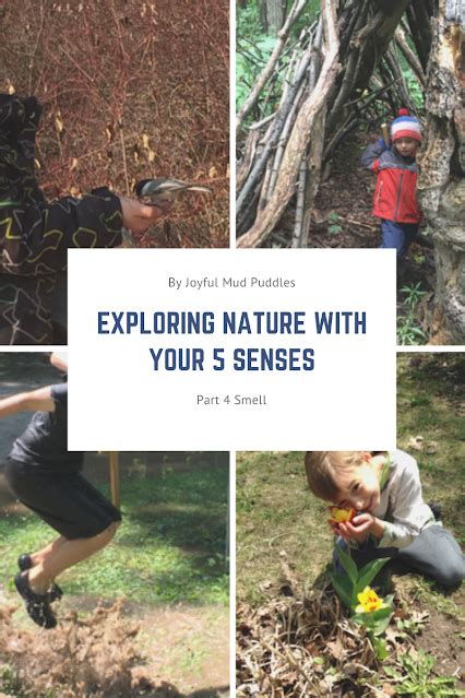 Exploring Nature With Your 5 Senses Part 4 Smell