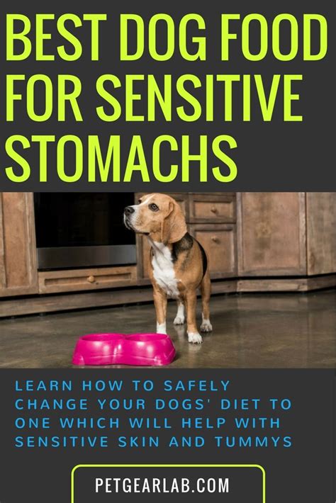 Work with your vet to determine the best wet dog food for your gal's sensitive tummy. Top 10 Best Dog Food for Sensitive Stomach Rated ...