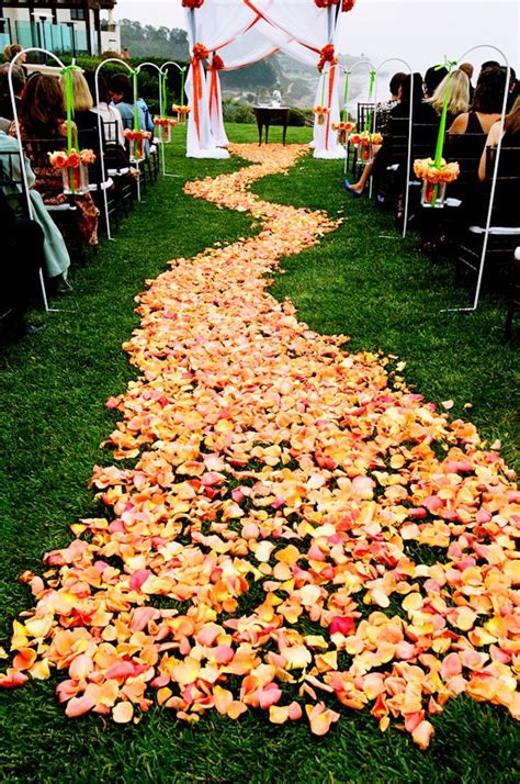 23 Best Fresh Rose Petals For Weddings Images On Pinterest