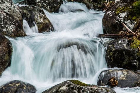 Forest Stream Running Over Mossy Rocks Stock Photo Image Of Earth