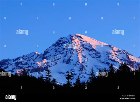 Sunrise Light On Mount Rainier Summit From Longmire Meadow Mount Stock