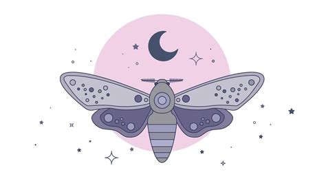 FREE DOWNLOAD - Free vector downloads - Moth Vector | Vector art design, Vector free, Vector art