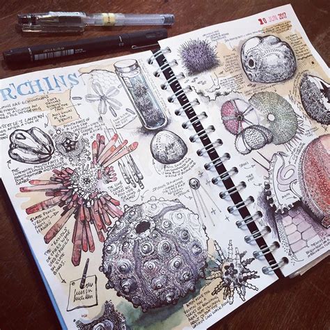 Sketchbook Inspiration Examples That Will Change The Way You Use