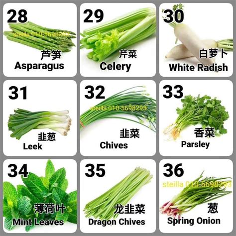 Collection Background Images What Is The White Vegetable In