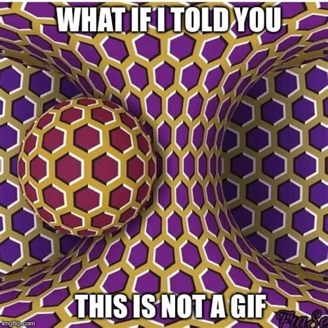 Optical Illusion Memes Gifs Imgflip
