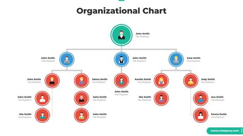 Organizational Chart Google Template